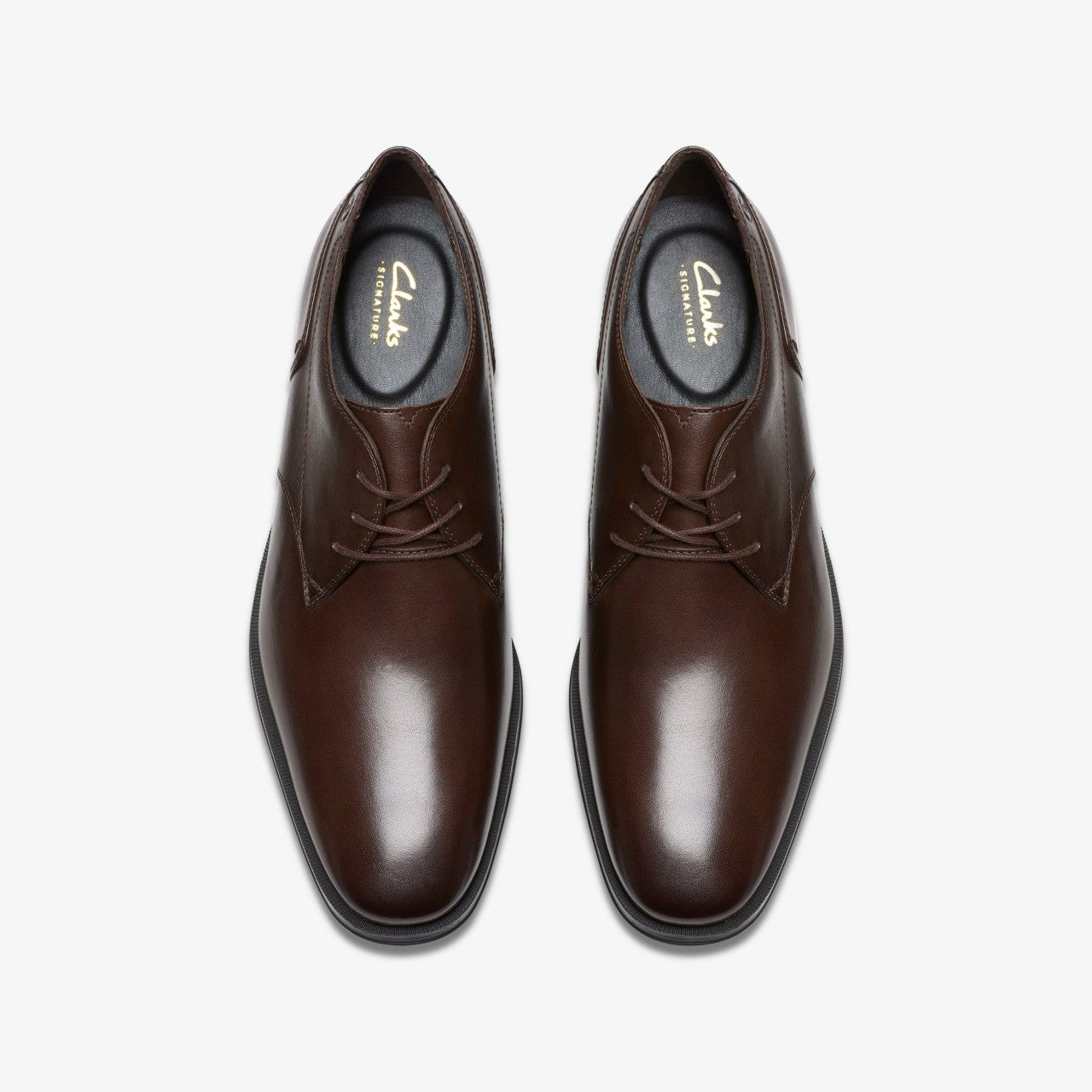 Men Paulton Lace Brown