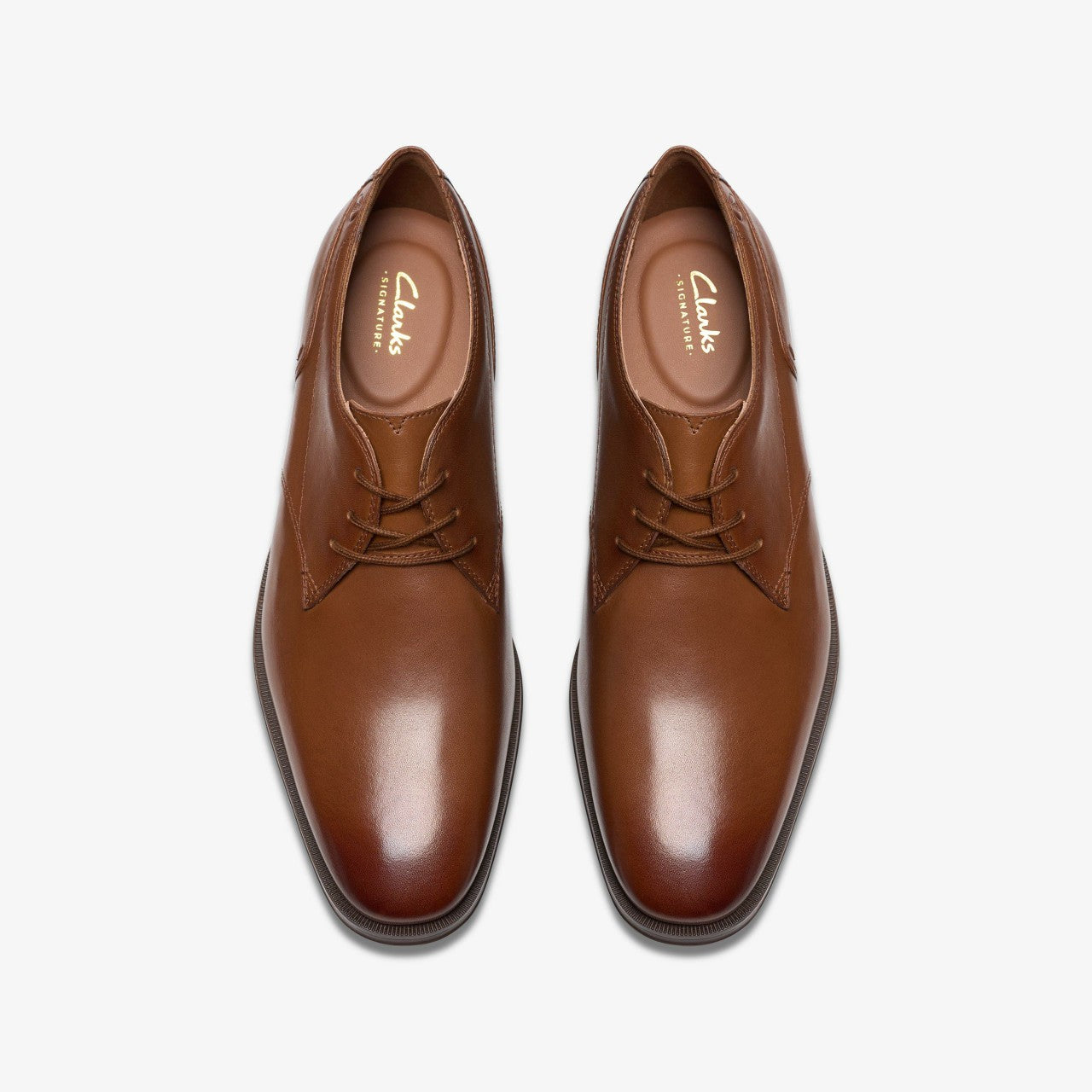 Men Paulton Lace Tan