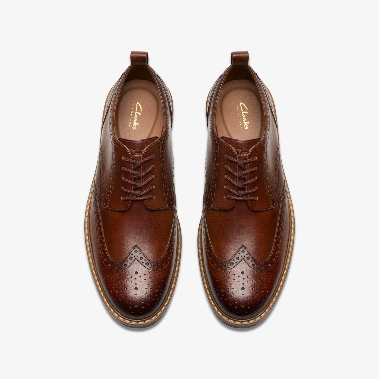 Men Aldwin Limit Brogue Mid Tan Leather