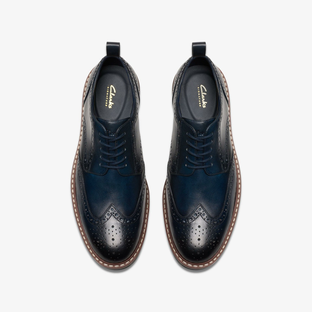 Men Aldwin Limit Brogue Navy Leather