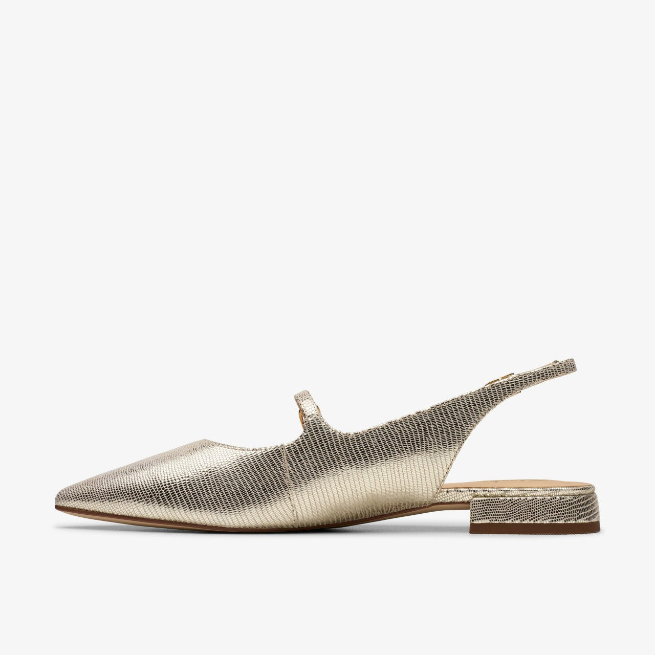 Women Sensa 15 Shine Champagne Interest