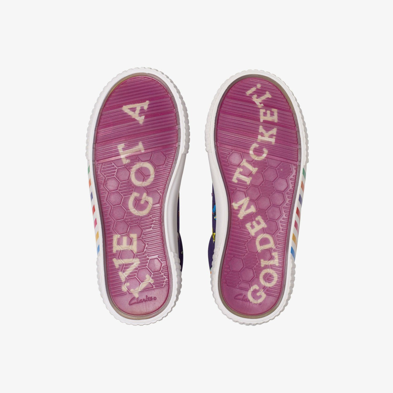 Kids Roald Dahl Charlie & the Chocolate Factory Foxing Mix Kid Purple Canvas