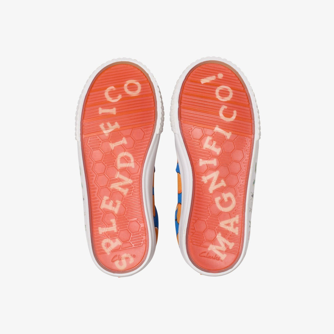 Kids Roald Dahl James & the Giant Peach Foxing Air Kid Blue Canvas