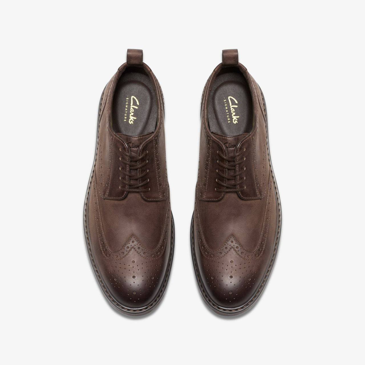 Men Aldwin Limit Brogue Brown Leather