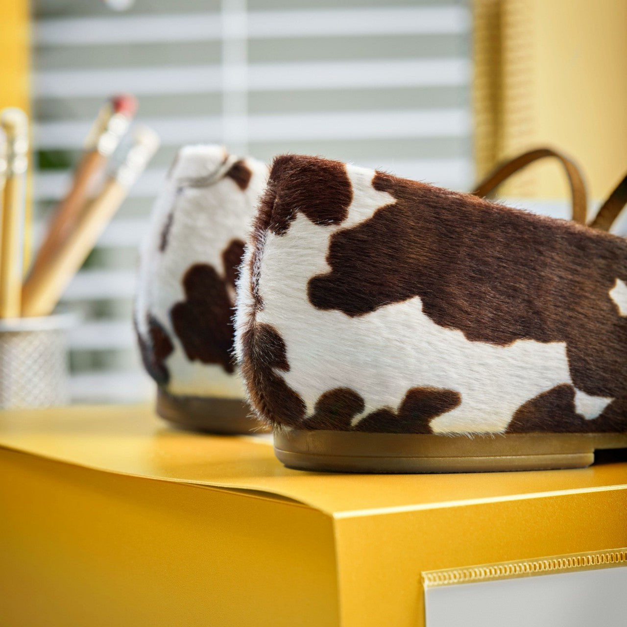 Women Livia Sky Cow Print